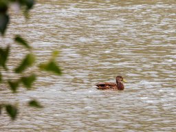 Fotowalk Pfarrwerfen - Bahnhof Werfen